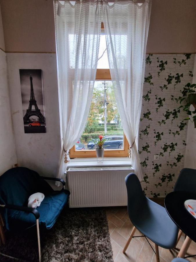 Apartament Ultracentral 2 Piata Muzeului คลูจ-นาโปกา ภายนอก รูปภาพ