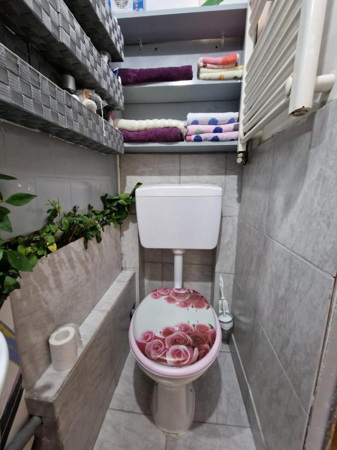 Apartament Ultracentral 2 Piata Muzeului คลูจ-นาโปกา ภายนอก รูปภาพ