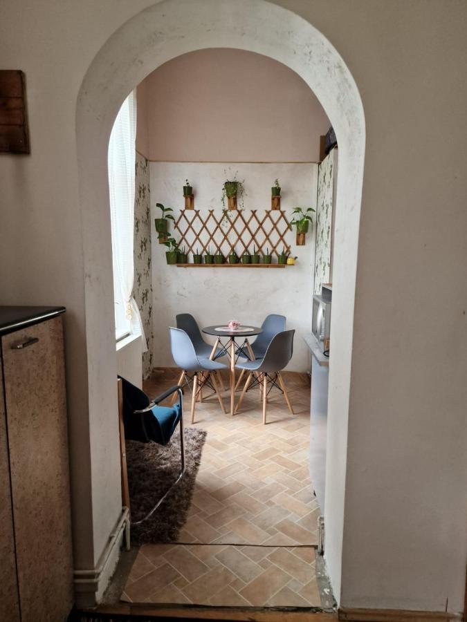 Apartament Ultracentral 2 Piata Muzeului คลูจ-นาโปกา ภายนอก รูปภาพ